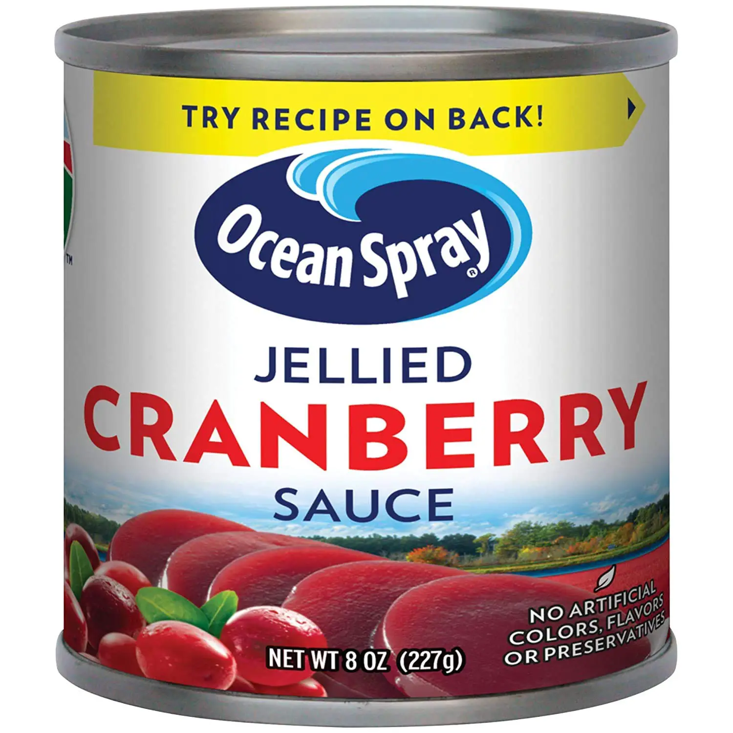 Amazon.com : Ocean Spray Jellied Cranberry Sauce, 8 ounces (Pack of 4 ...