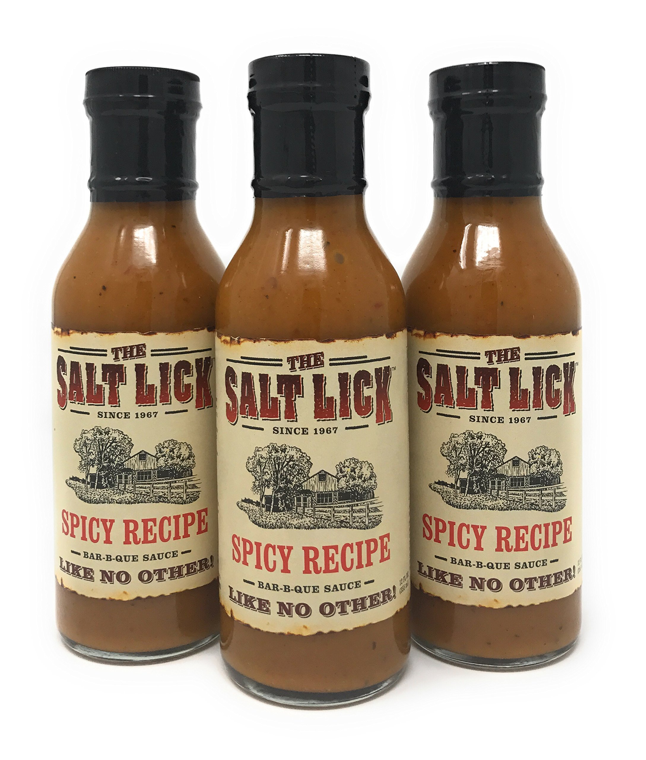 Amazon.com : The Salt Lick Original Recipe BBQ Sauce 12 oz ...