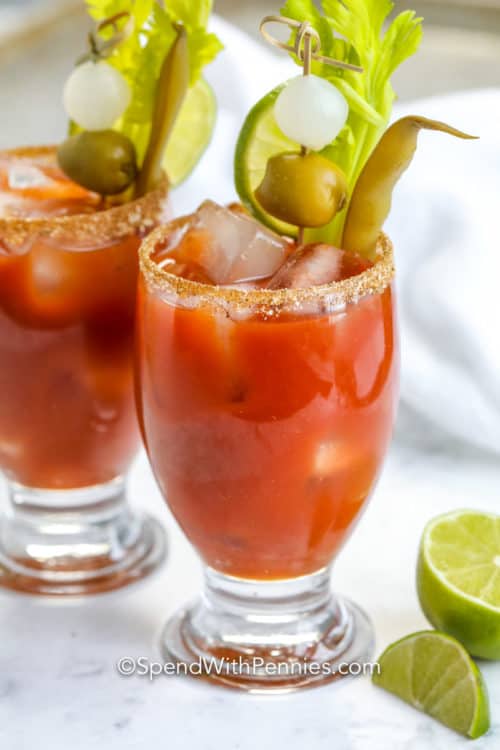 Classic Bloody Mary {Spicy &  Savory}