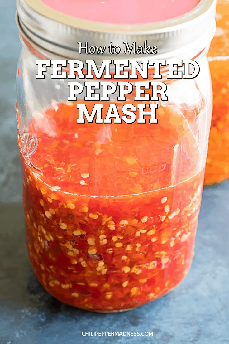 How to Make Fermented Pepper Mash in 2020