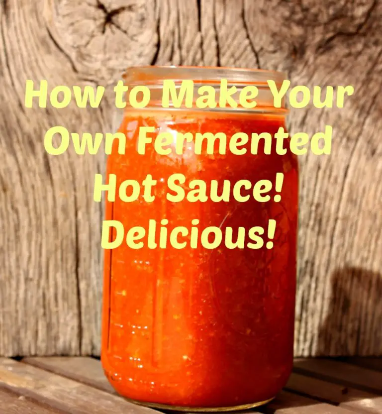 Make Your Own Fermented Hot Sauce! This is Our Favorite Hot Sauce ...