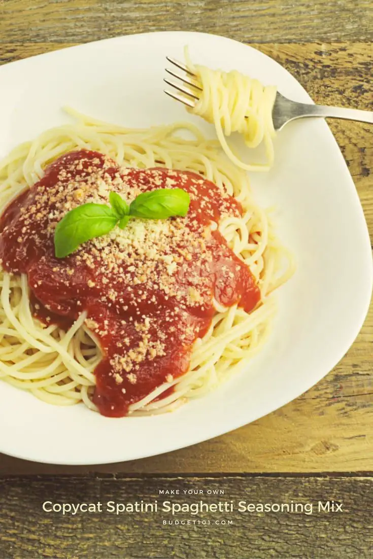 Spatini Spaghetti Sauce Copycat Recipe